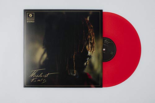 Thundercat | It Is What It Is (Colored Vinyl, Red, 140 Gram Vinyl, Photos) - Vinyl