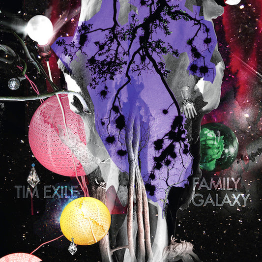 Tim Exile | Family Galaxy 12" - Vinyl