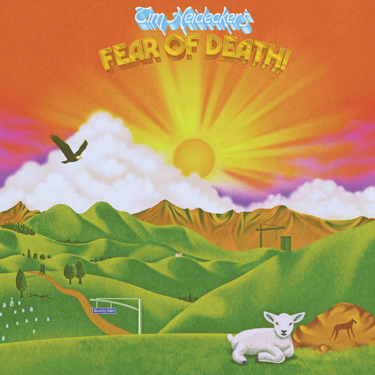 Tim Heidecker | Fear Of Death - Vinyl