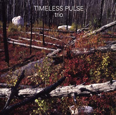 TIMELESS PULSE | Trio - Vinyl