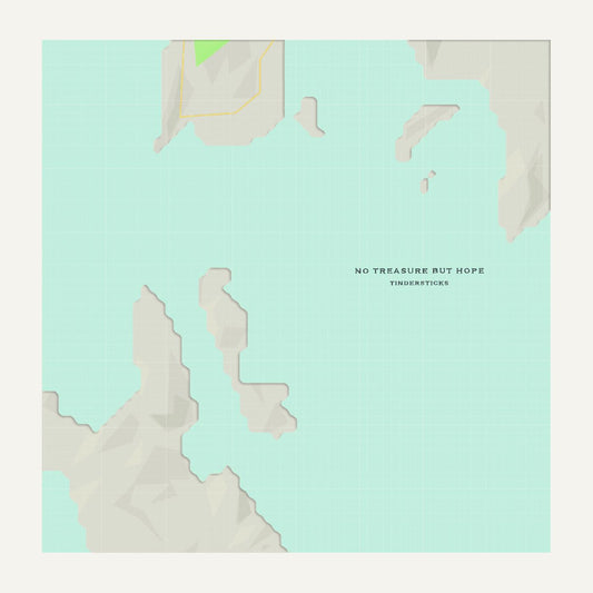 Tindersticks | No Treasure But Hope - CD
