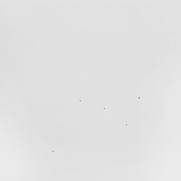 TODD ANDERSON-KUNERT | Conjectures - Vinyl