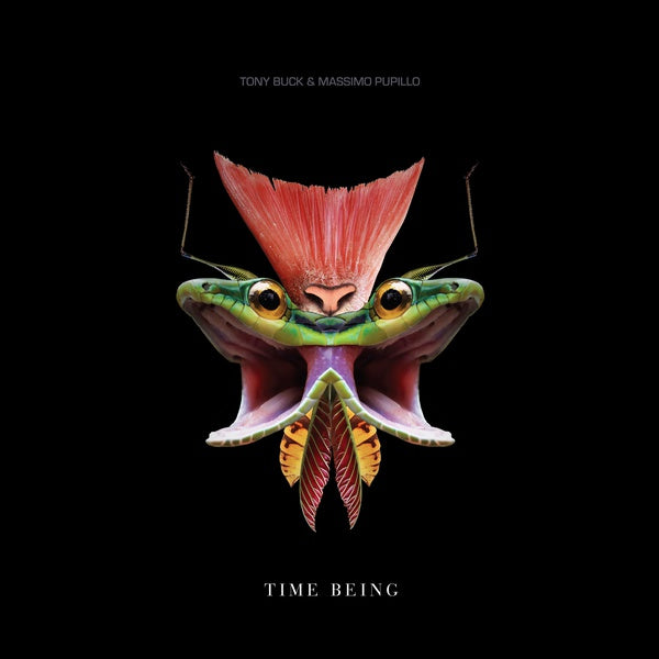 TONY BUCK & MASSIMO PUPILLO | Time Being - Vinyl