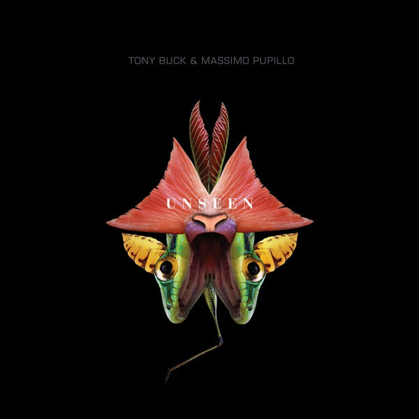 TONY BUCK & MASSIMO PUPILLO | Unseen - CD