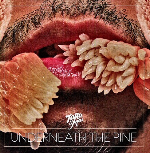 Toro Y Moi | Underneath the Pine - Vinyl