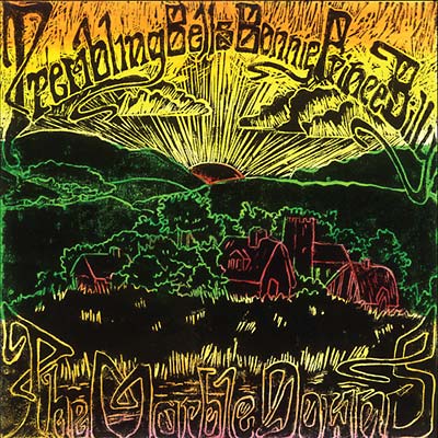 TREMBLING BELLS & BONNIE 'PRINCE' BILLY | The Marble Downs - CD