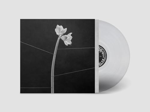 Trentemoller | Dreamweaver - Vinyl
