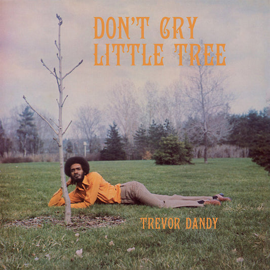 TREVOR DANDY | Don't Cry Little Tree - Vinyl