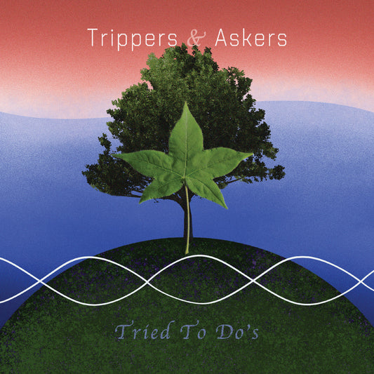 Trippers & Askers | Tried To Do'S - Vinyl