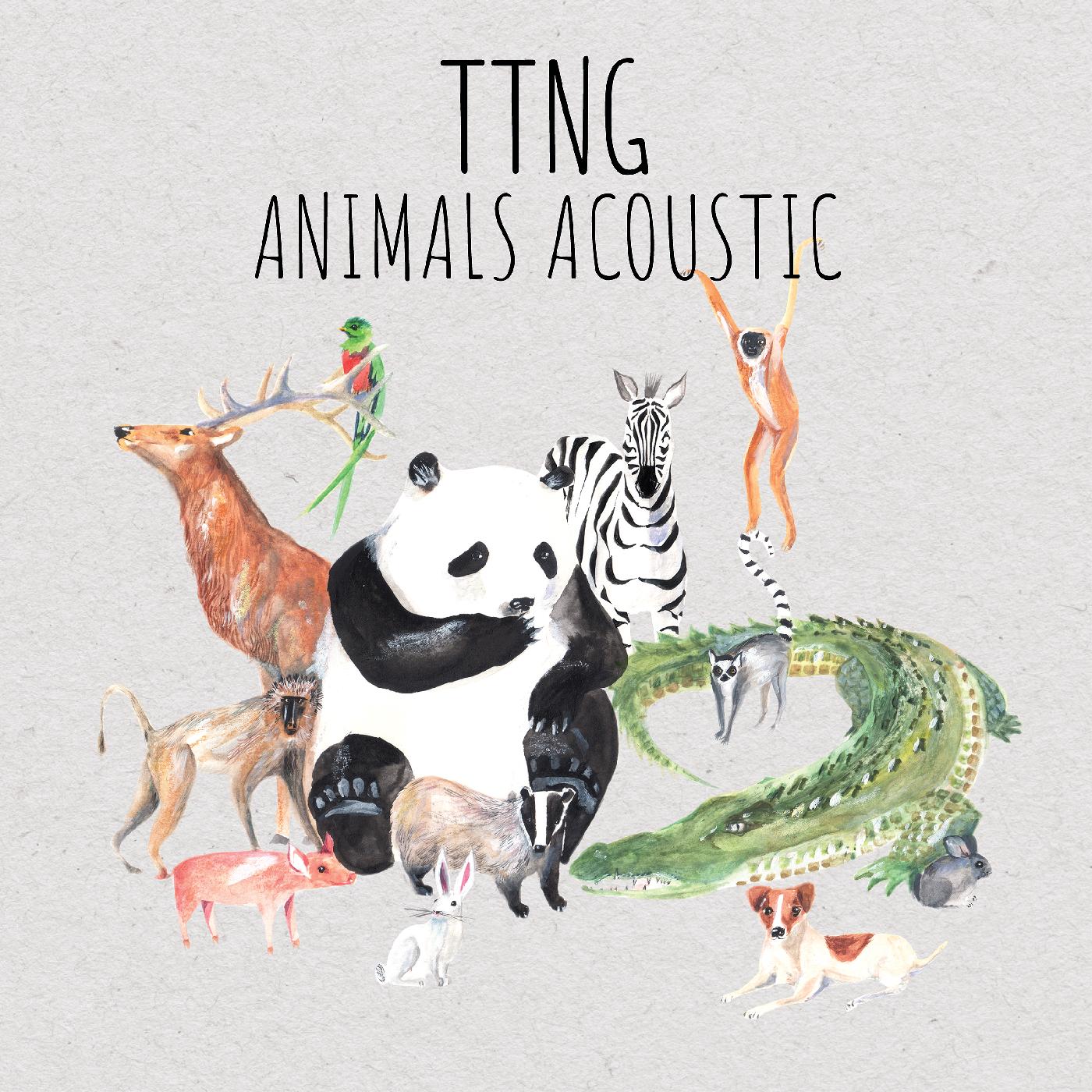 Ttng | Animals Acoustic - CD