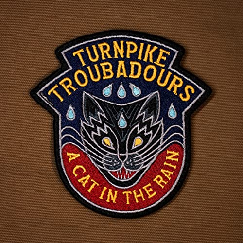 TURNPIKE TROUBADOURS | A Cat In The Rain - Vinyl