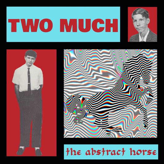 TWO MUCH | The Abstract Horse - Vinyl