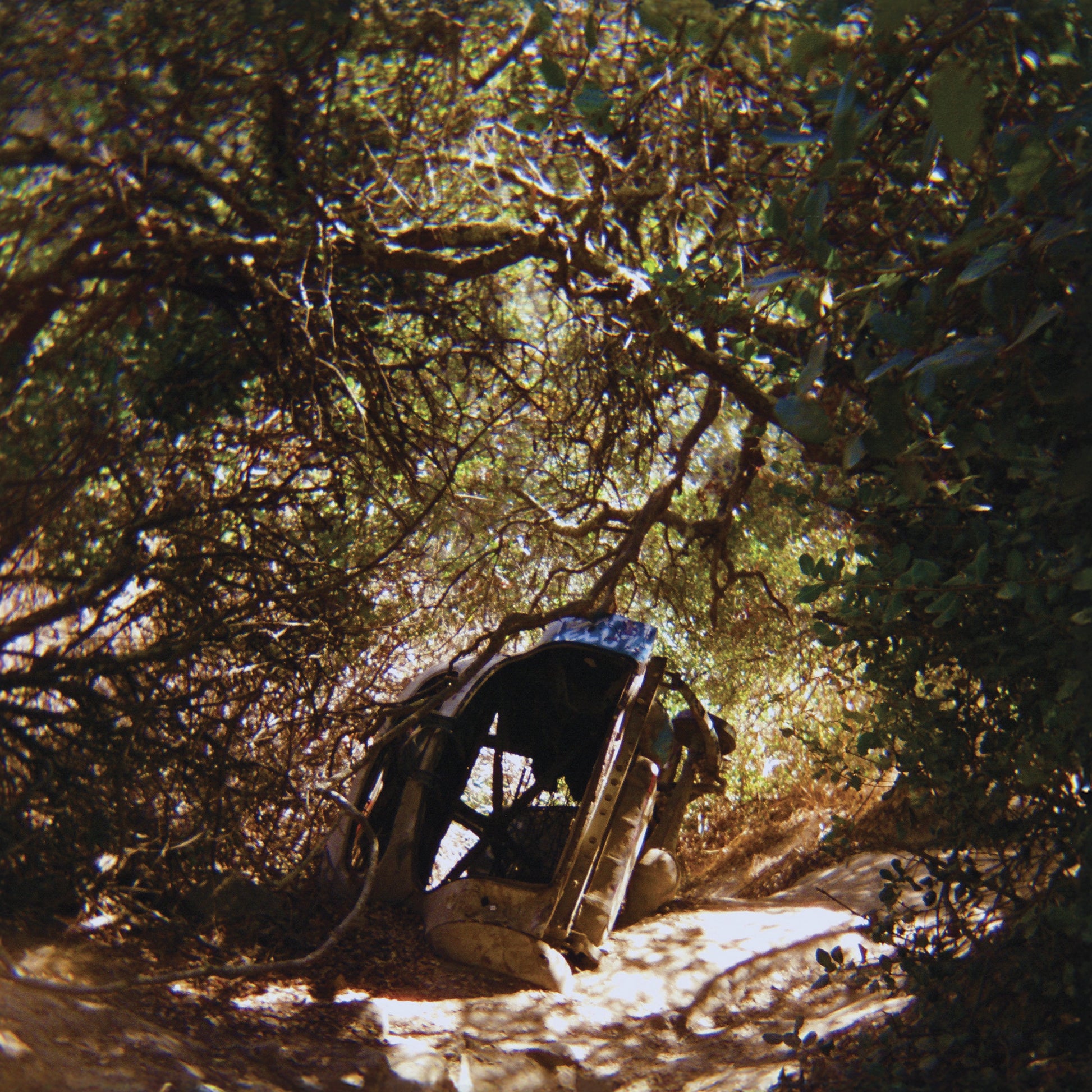 Ty Segall | Possession - CD