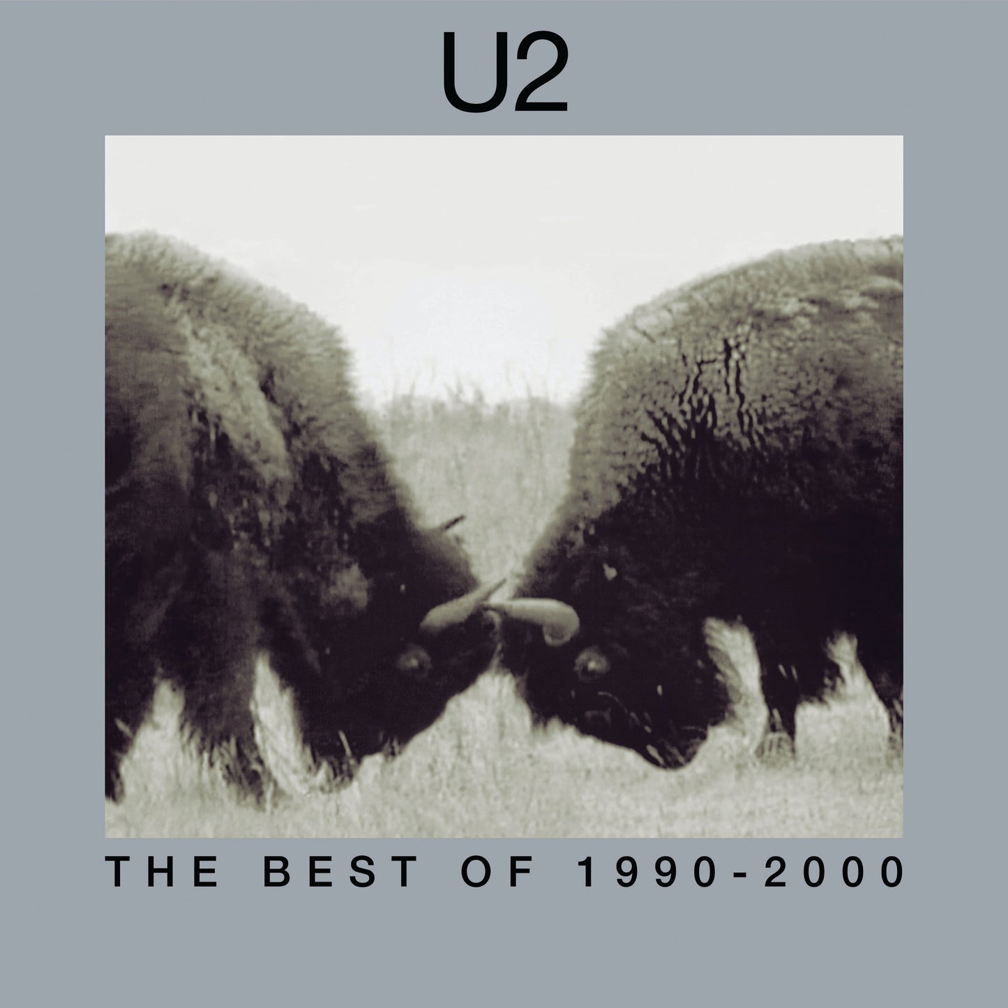 U2 | The Best Of 1990-2000 (180 Gram Vinyl) (2 Lp's) - Vinyl