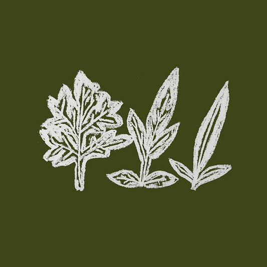 UENO TAKASHI | Variations of Weeds - CD