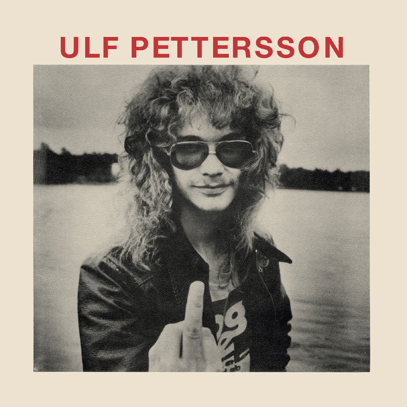 Ulf Pettersson | Schizo - Vinyl