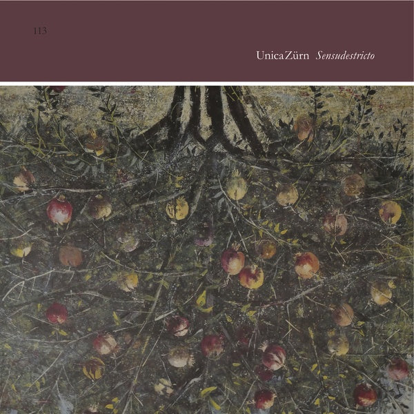 UNICAZURN | Sensudestricto - Vinyl