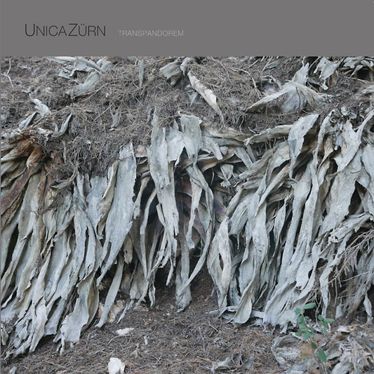 UNICAZURN | Transpandorem - Vinyl