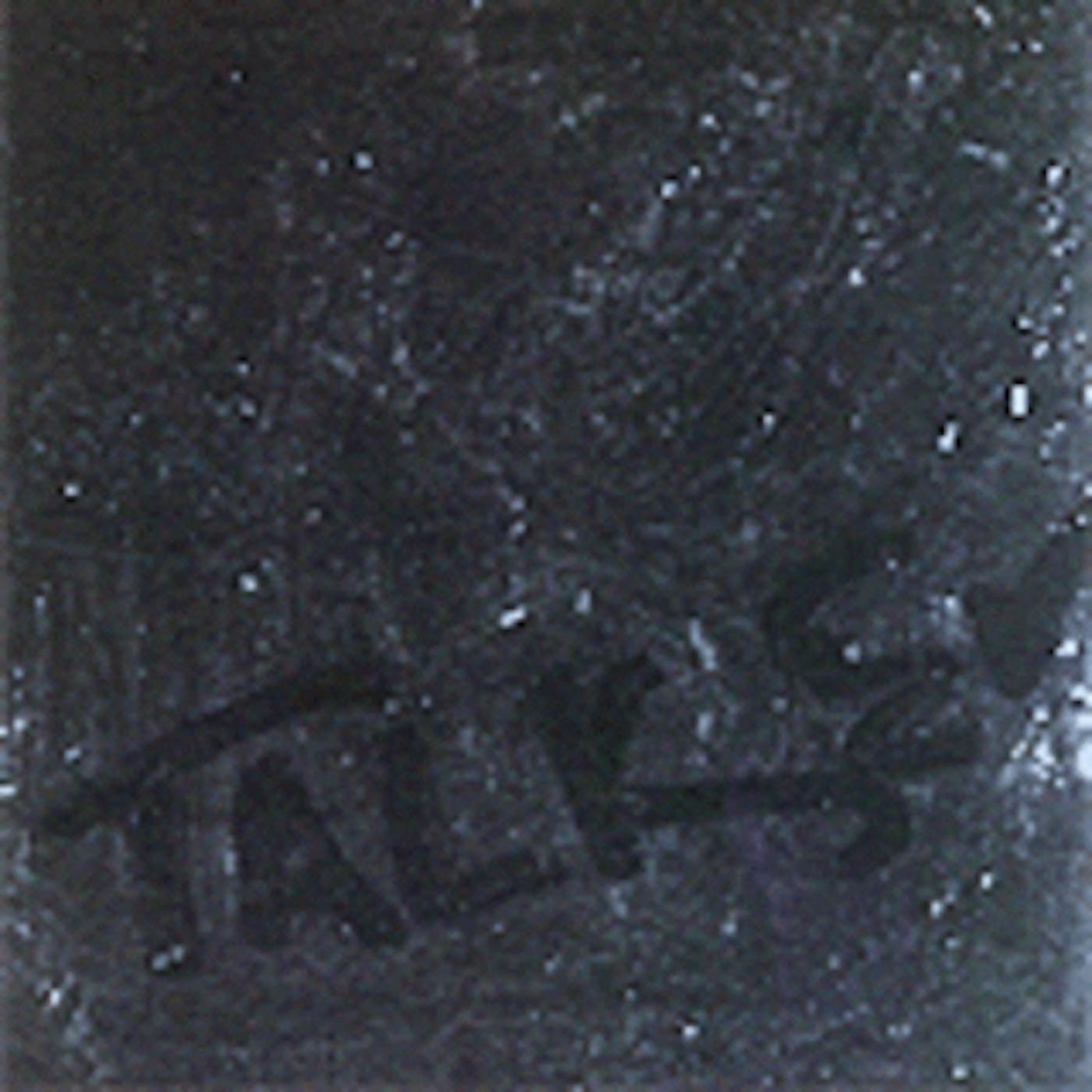 U.S. Maple | Talker - Vinyl