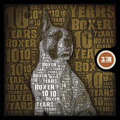 Va | 10 Years Of Boxer - CD