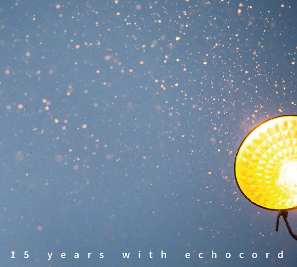 Va | 15 Years With Echocord - CD