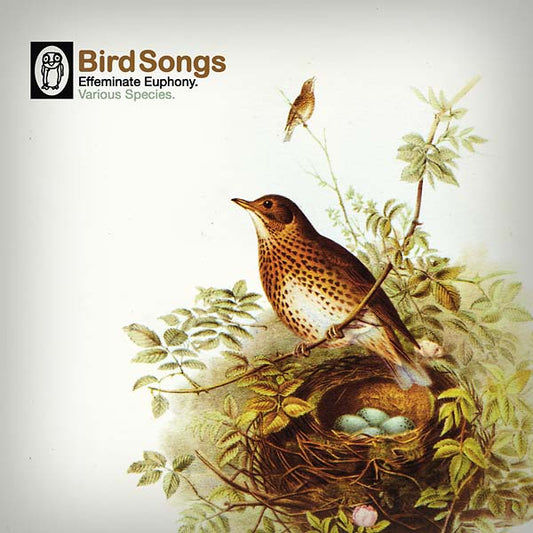 Va | Bird Songs - Vinyl