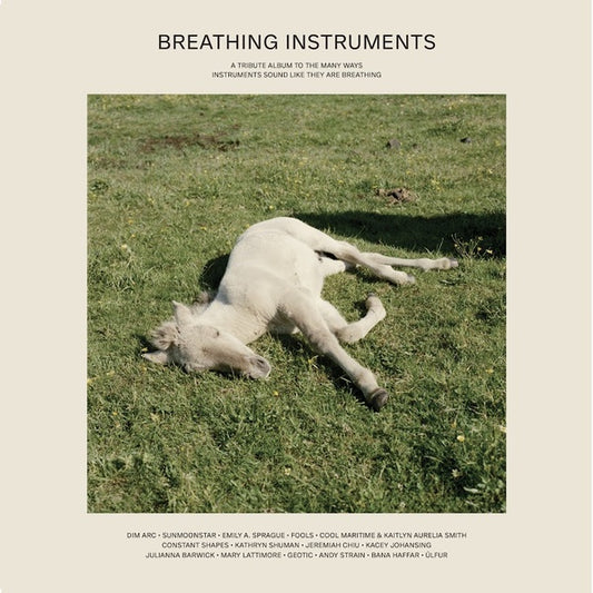 Va | Breathing Instruments - Vinyl