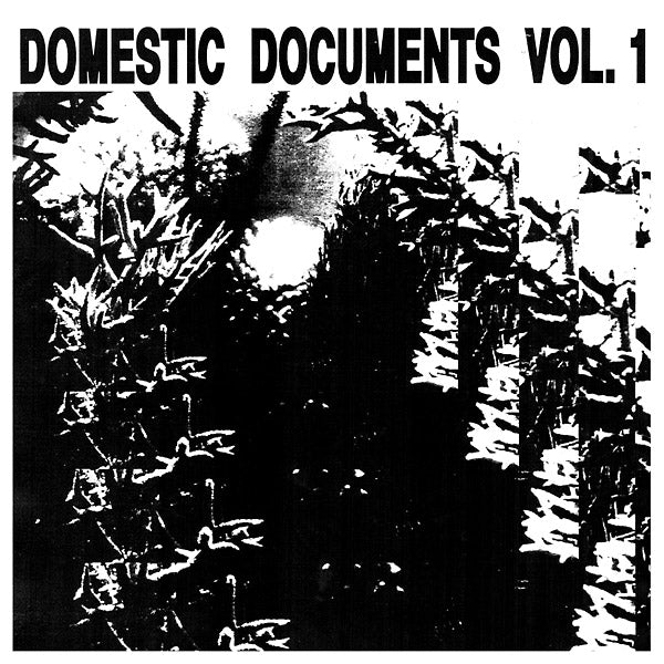 Va | Domestic Documents Vol. 1: Compiled by Butter Sessions and Noise In My Head - Vinyl