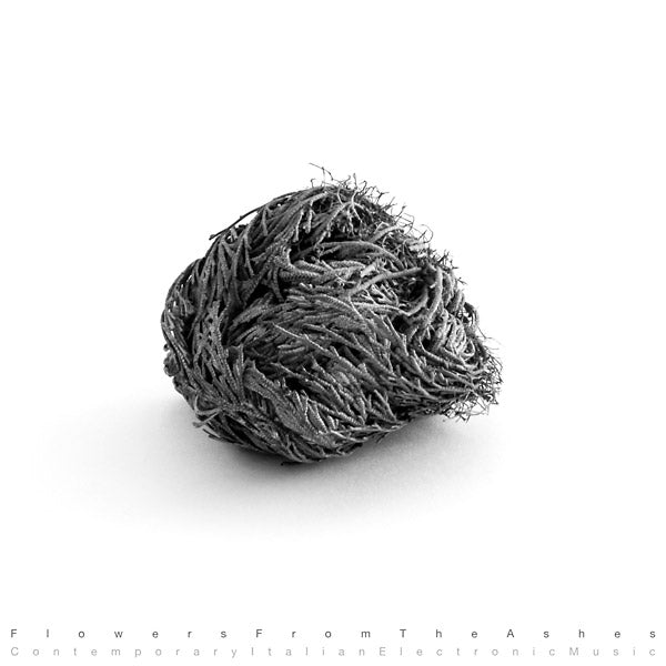 Va | Flowers From The Ashes: Contemporary Italian Electronic Music - CD