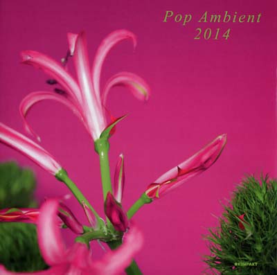 Va | Pop Ambient 2014 - CD
