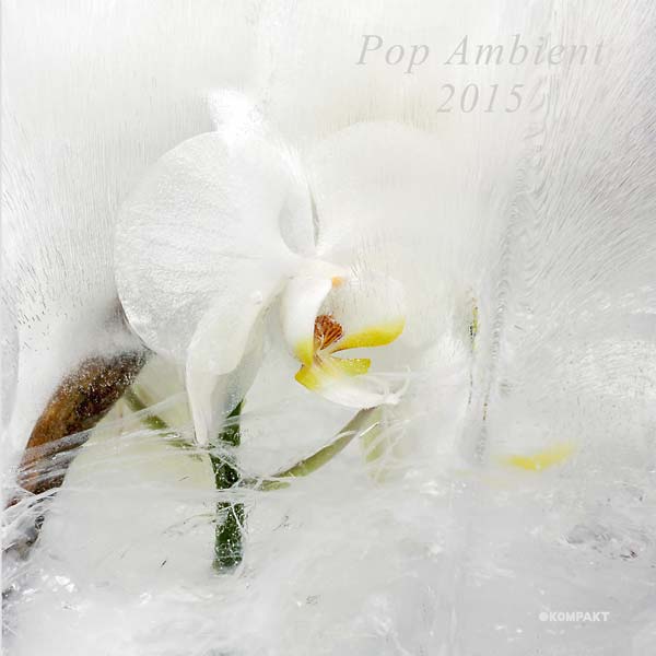 Va | Pop Ambient 2015 - CD