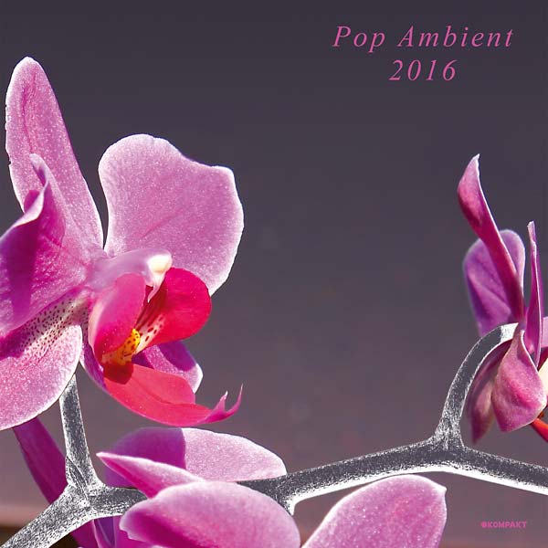 Va | Pop Ambient 2016 - Vinyl