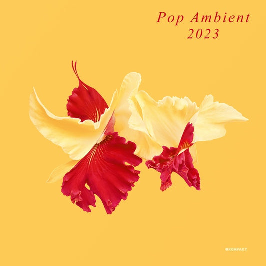 Va | Pop Ambient 2023 - Vinyl