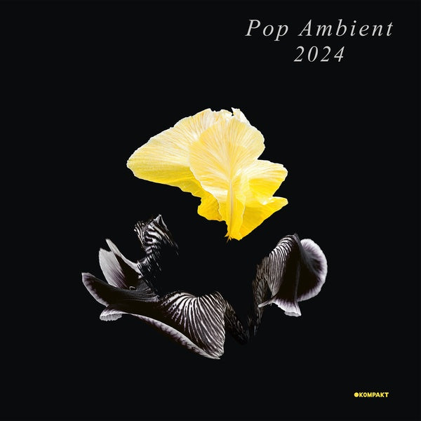 Va | Pop Ambient 2024 - Vinyl