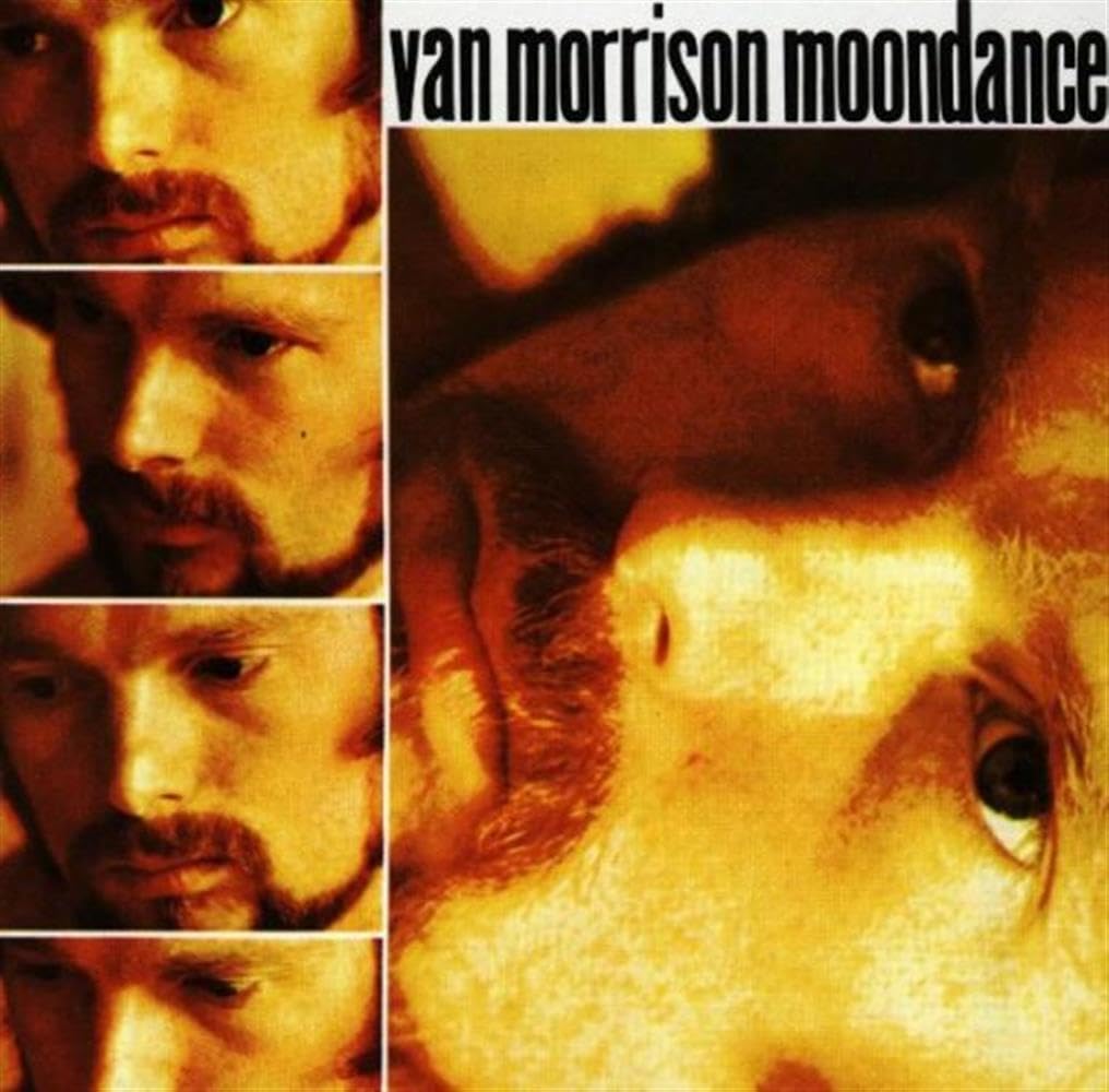 Van Morrison | Moondance [Import] - CD