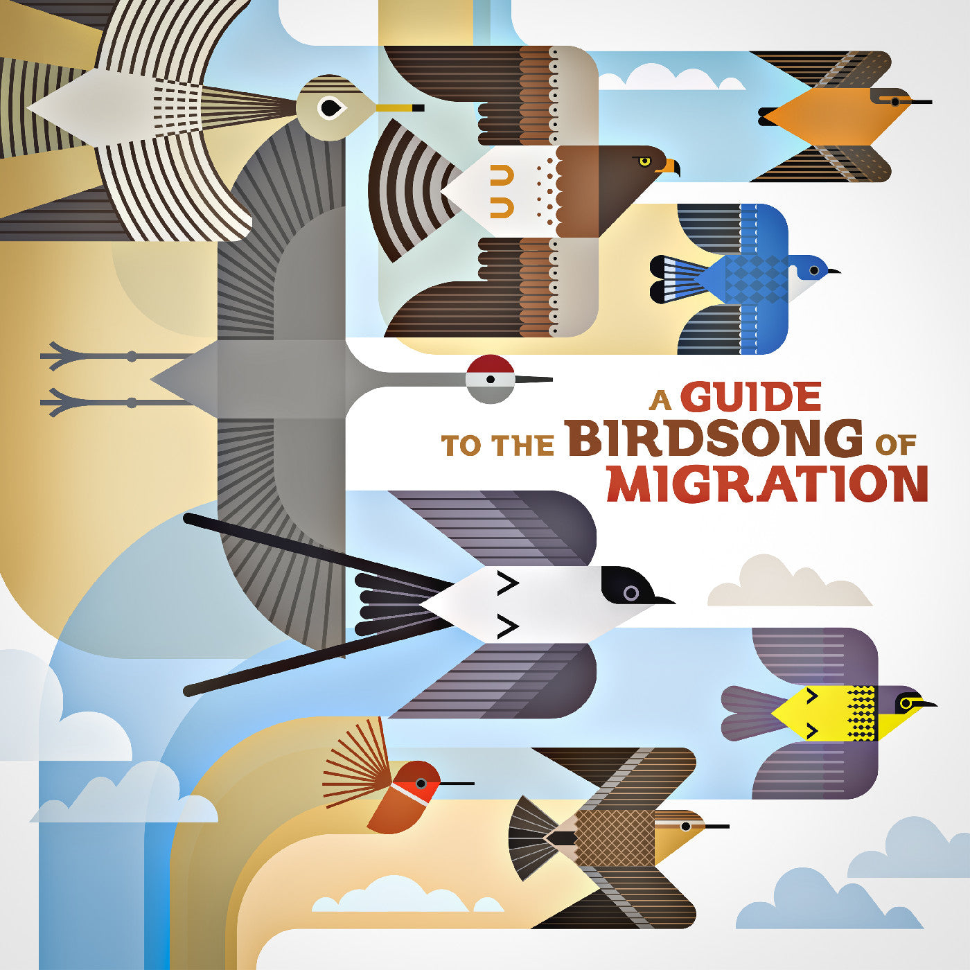 Various Artists | A Guide To The Birdsong Of Migration - Vinyl
