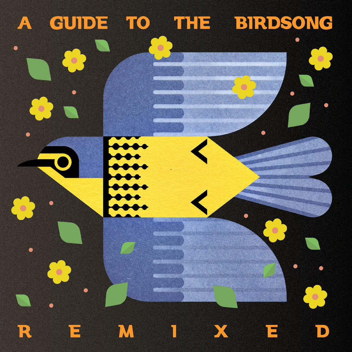 Various Artists | A Guide To The Birdsong Remixed (180G) [2LP] - Vinyl