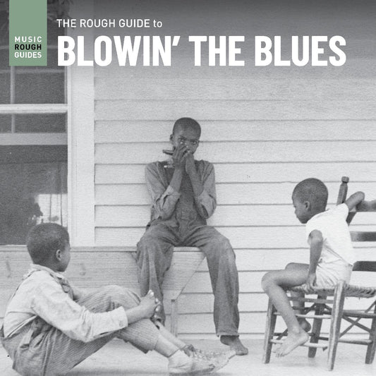 Various Artists | Rough Guide To Blowinâ€™ The Blues - Vinyl