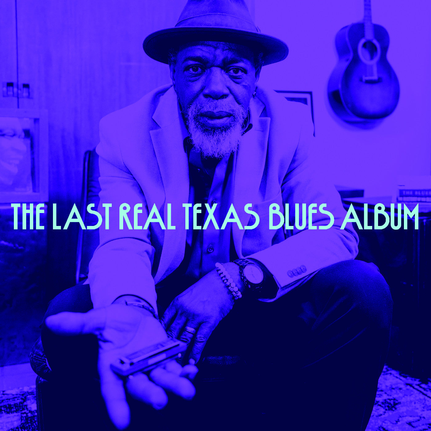 Various Artists | The Last Real Texas Blues Album - CD