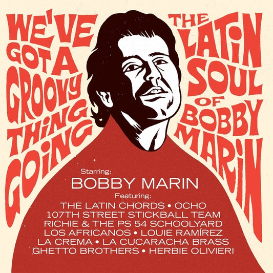 Various Artists | We'Ve Got A Groovy Thing Going: The Latin Soul Of Bobby Marin - Vinyl