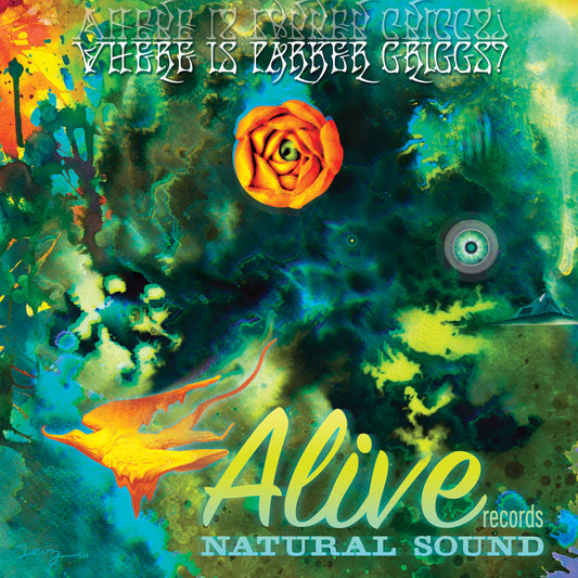 Various Artists | Where Is Parker Griggs? - Vinyl