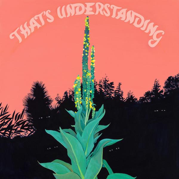 VILLAGE OF SPACES | That's Understanding - Vinyl