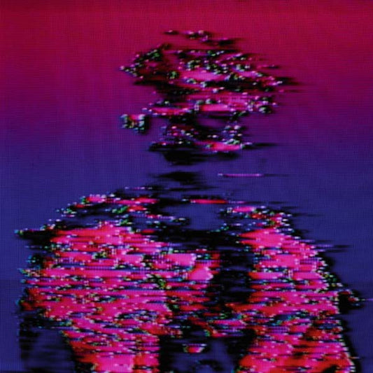 VISION HEAT | The Chosen Themes - Program II - Vinyl