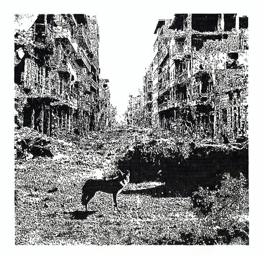VOX LOW | Keep On Falling - CD