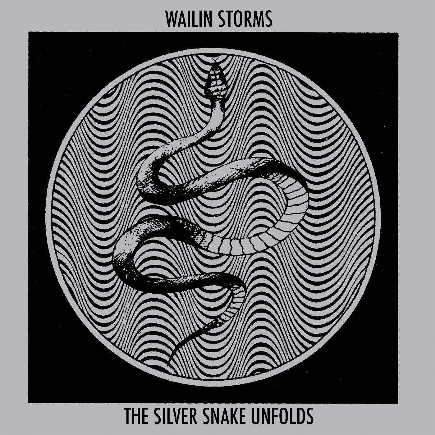Wailin Storms | The Silver Snake Unfolds (BLUE & BLACK GALAXY VINYL) - Vinyl