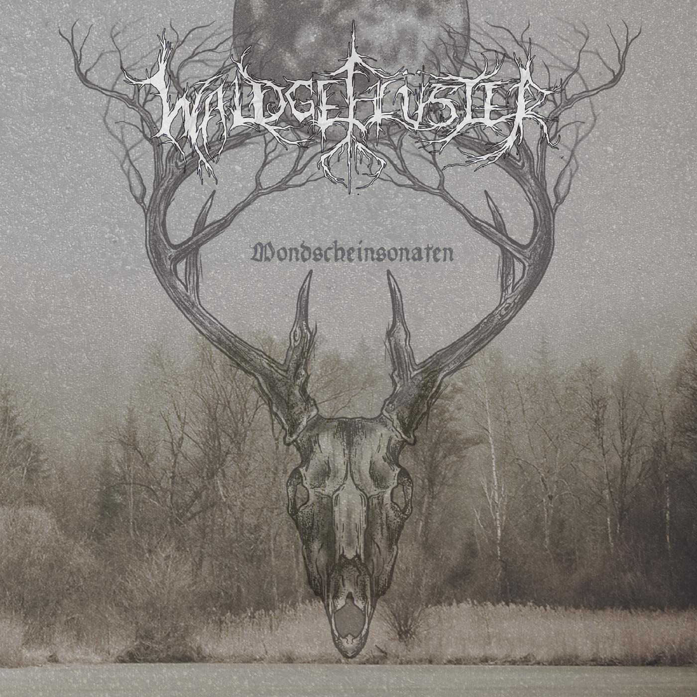 Waldgefl¸ster | Mondscheinsonaten - CD