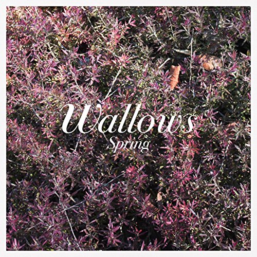 Wallows | Spring - Vinyl
