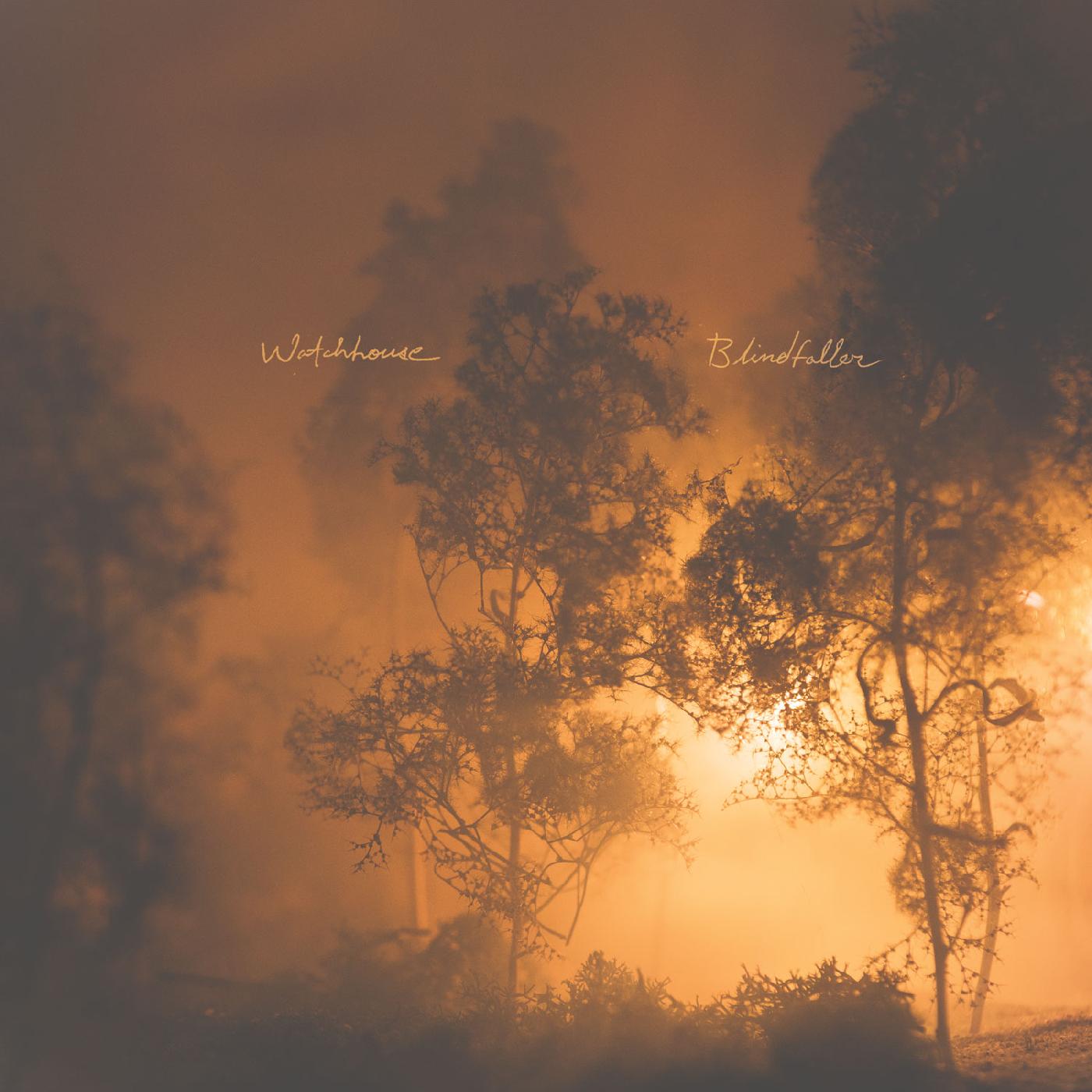 Watchhouse | Blindfaller - CD