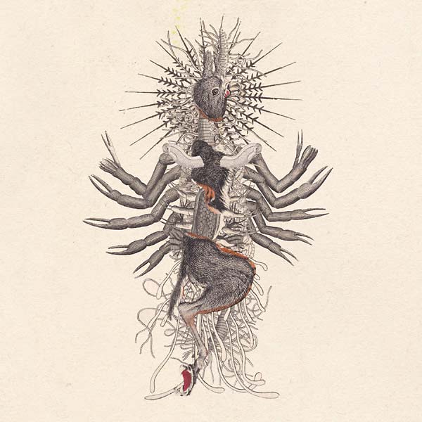 WE WILL FAIL | Verstorung - CD
