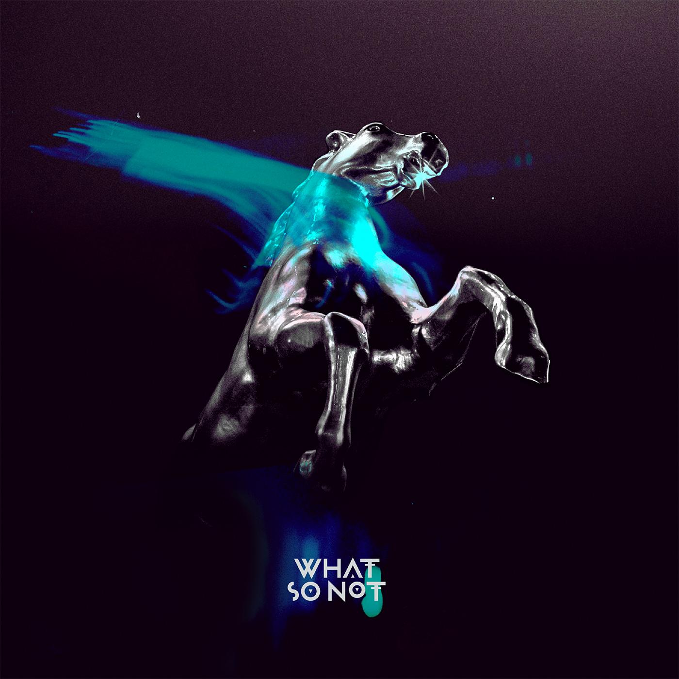 What So Not | Not All The Beautiful Things - CD